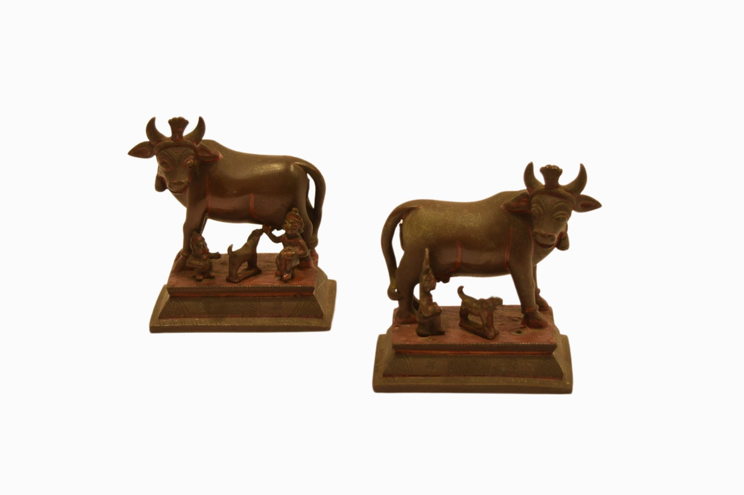 A pair of bronze cows