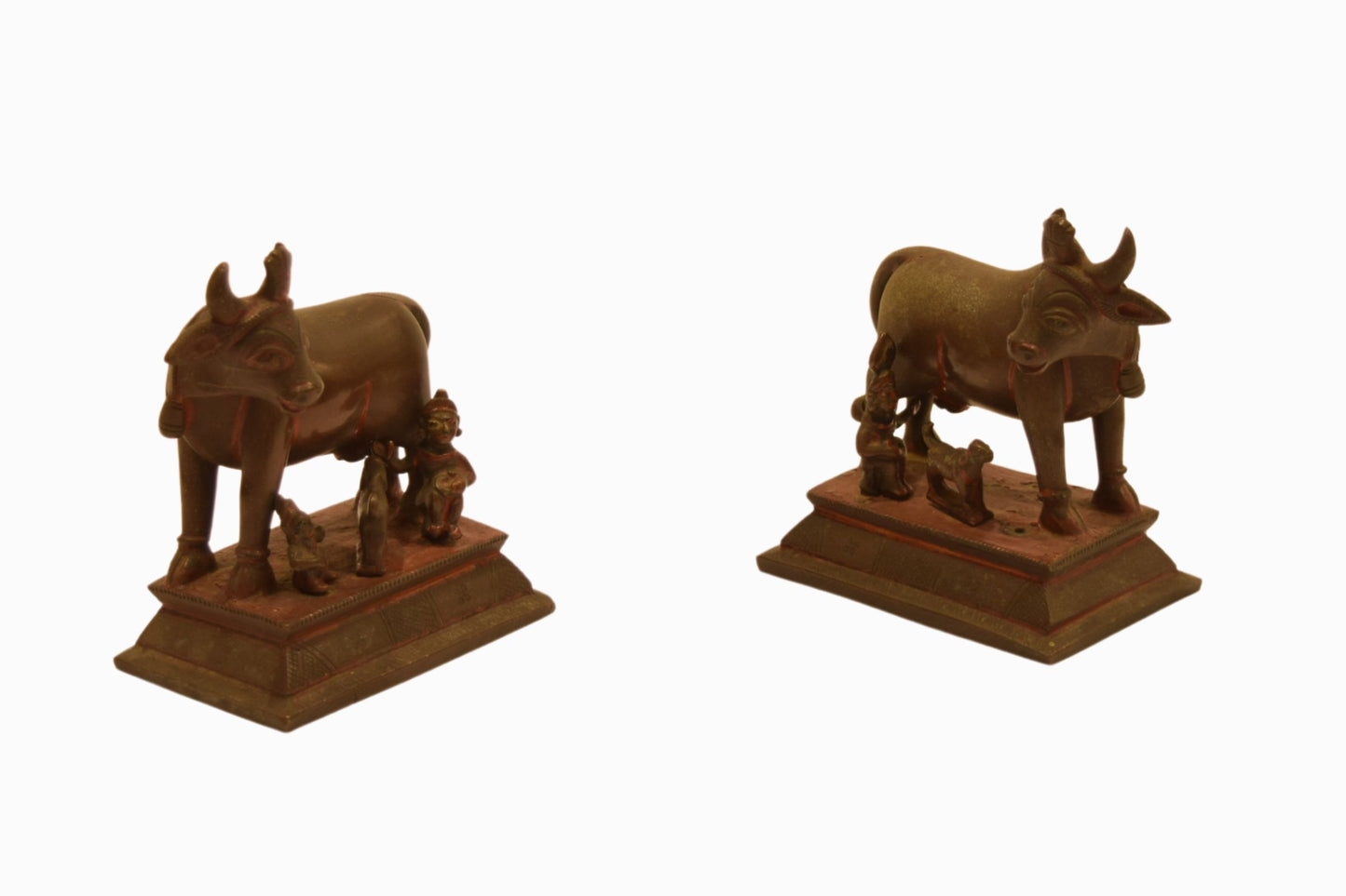 A pair of bronze cows
