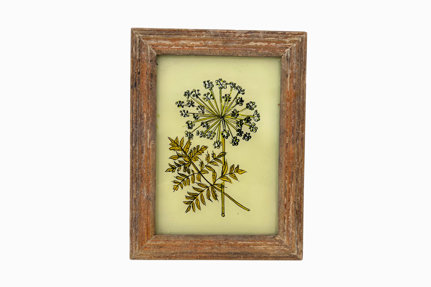 A Reverse Glass Painting of an allium (Small)