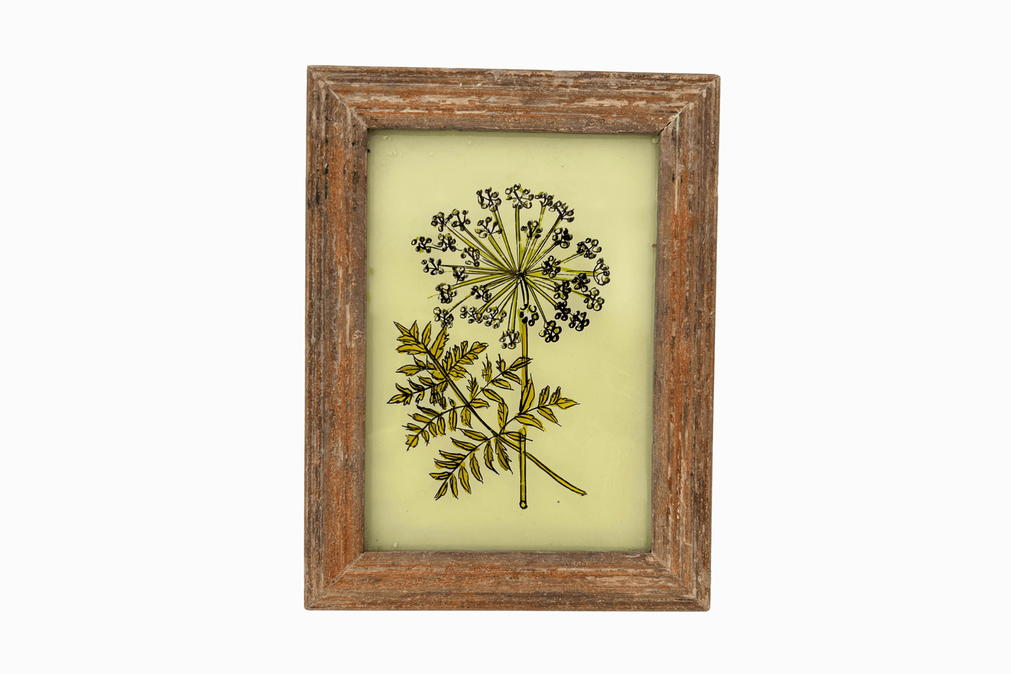 A Reverse Glass Painting of an allium (Small)