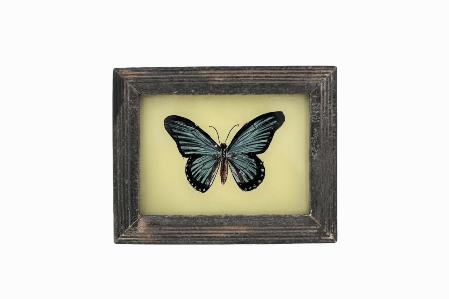 A Reverse Glass Painting of a Butterfly (Extra Small)