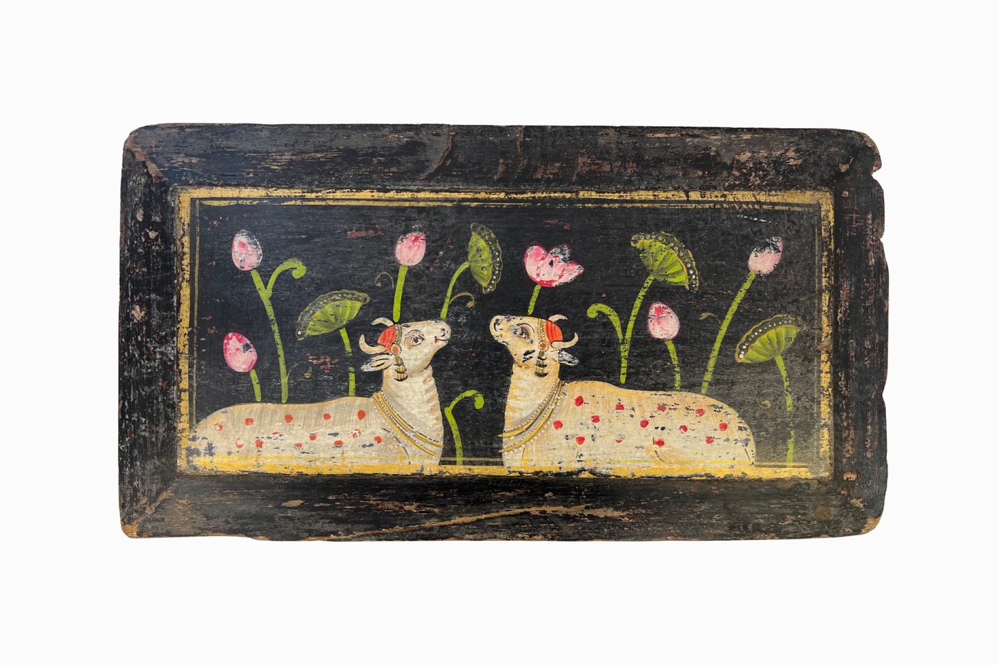 Holy Cows on a Black Panel