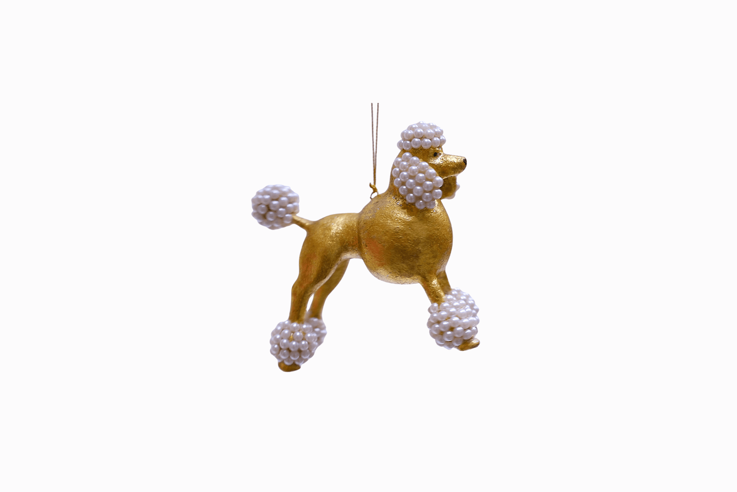 Pearly Poodle