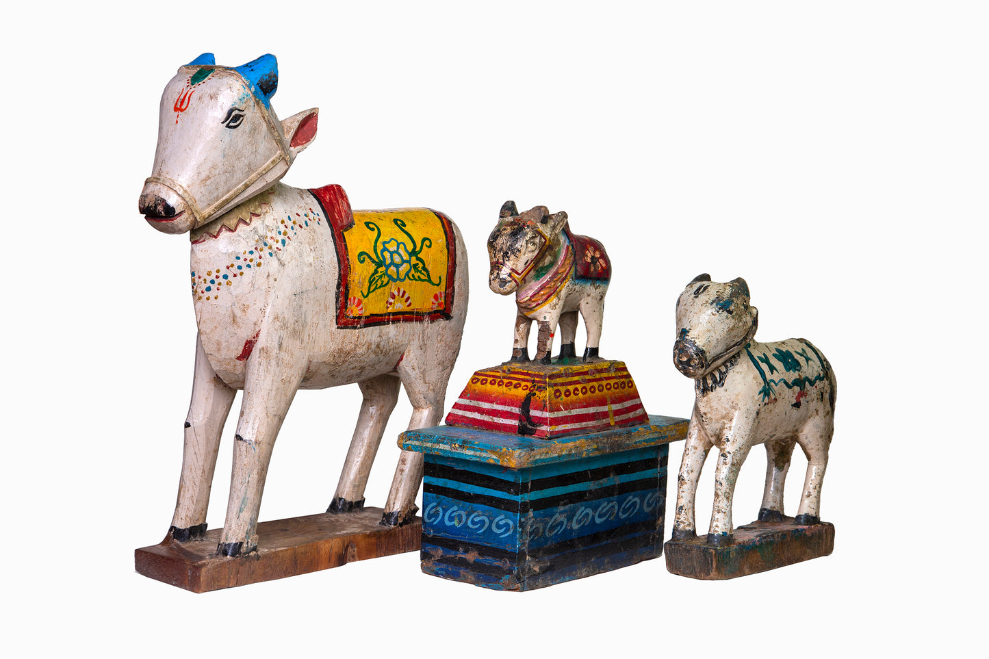 Pequeña vaca santa