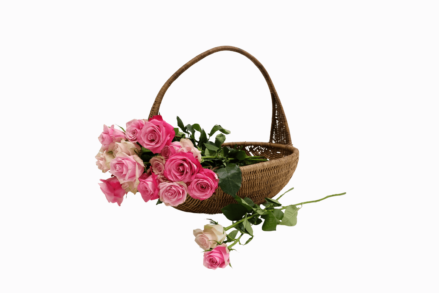 Vintage garden trug