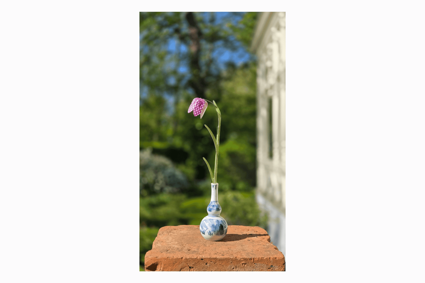 Tulipanes de papel de paquete plano