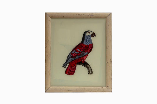 Red and grey parrot reverse glass painting. (Medium)