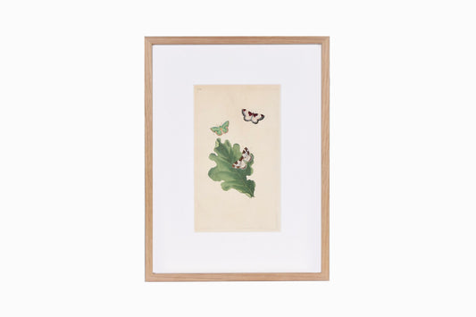 Estampado de mariposas Ref B202