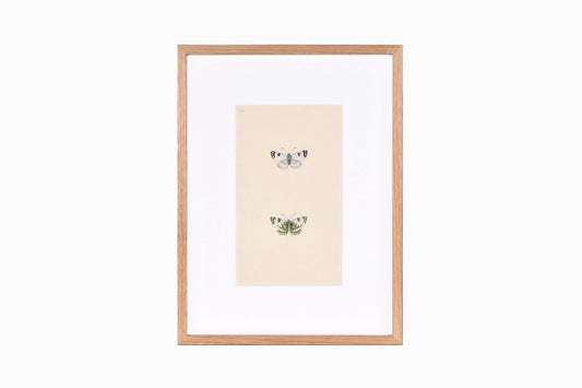 Estampado de mariposas Ref B200