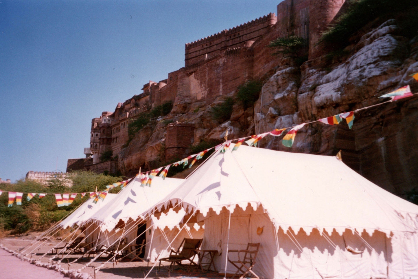 Shikar - Grande