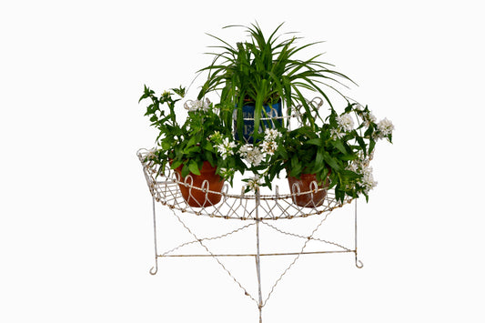 A Victorian style semi circular metal wire jardiniere