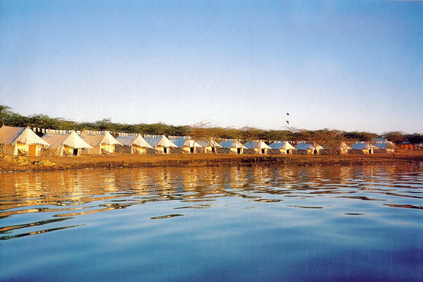 Shikar - Grande