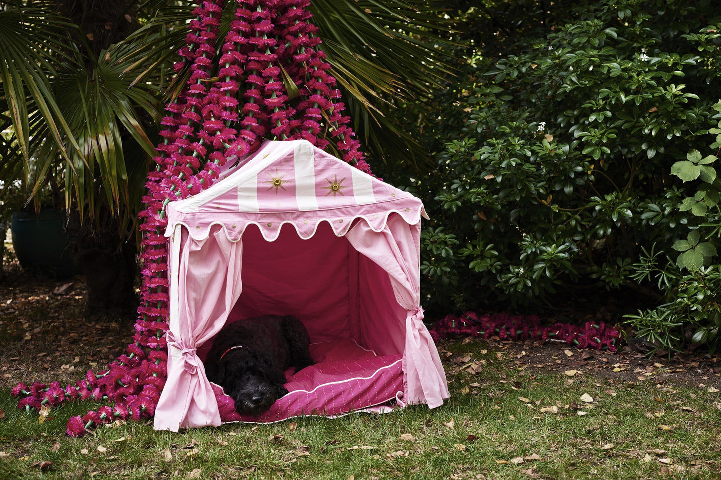 DOG TENT