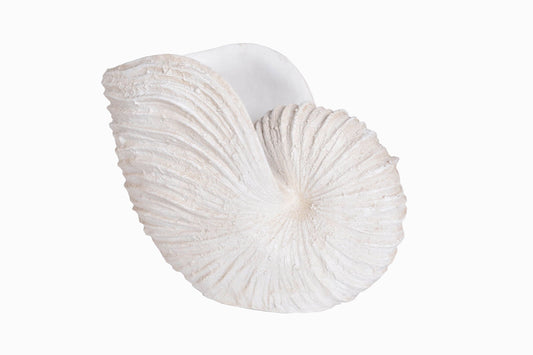 Large lifelike nautilus shell