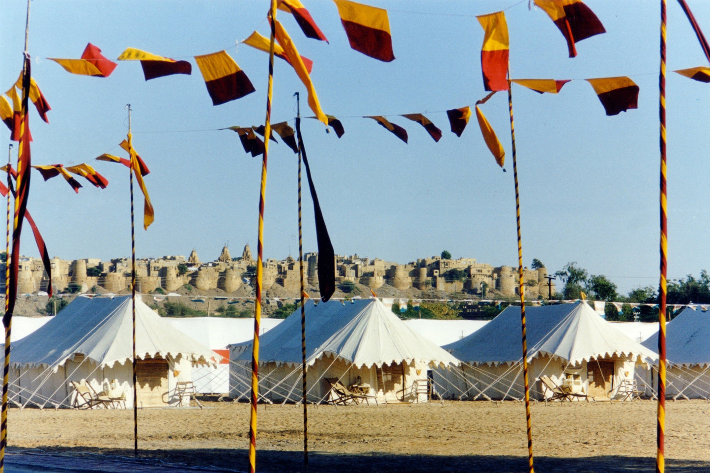Shikar - Grande