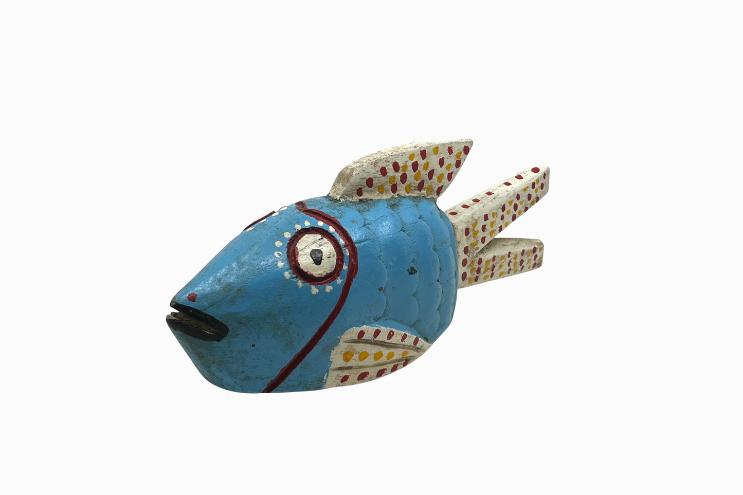 Blue & white Bozo Fish