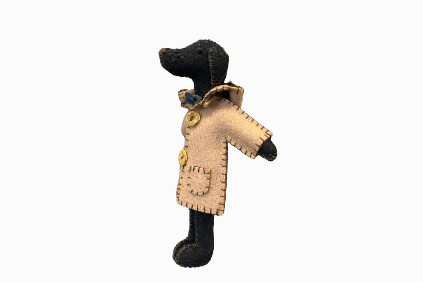 Dog in duffle coat