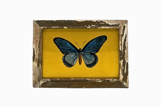 A Reverse Glass Painting of a Butterfly