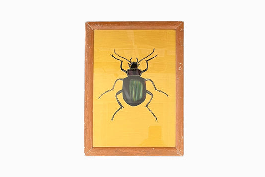 Reverse glass painting of a beetle (large)