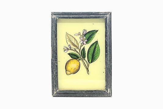 A Reverse Glass Painting of a Lemon (Small)