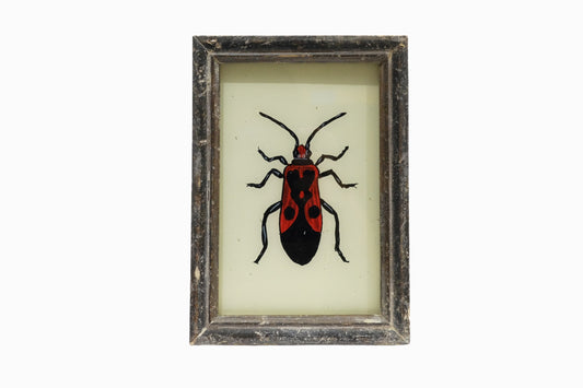 A reverse glass painting of a beetle (small)