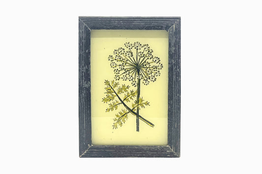 A Reverse Glass Painting of Cow Parsley (Small)