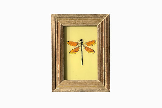 A Reverse Glass Painting of a Dragonfly 3 (Small)