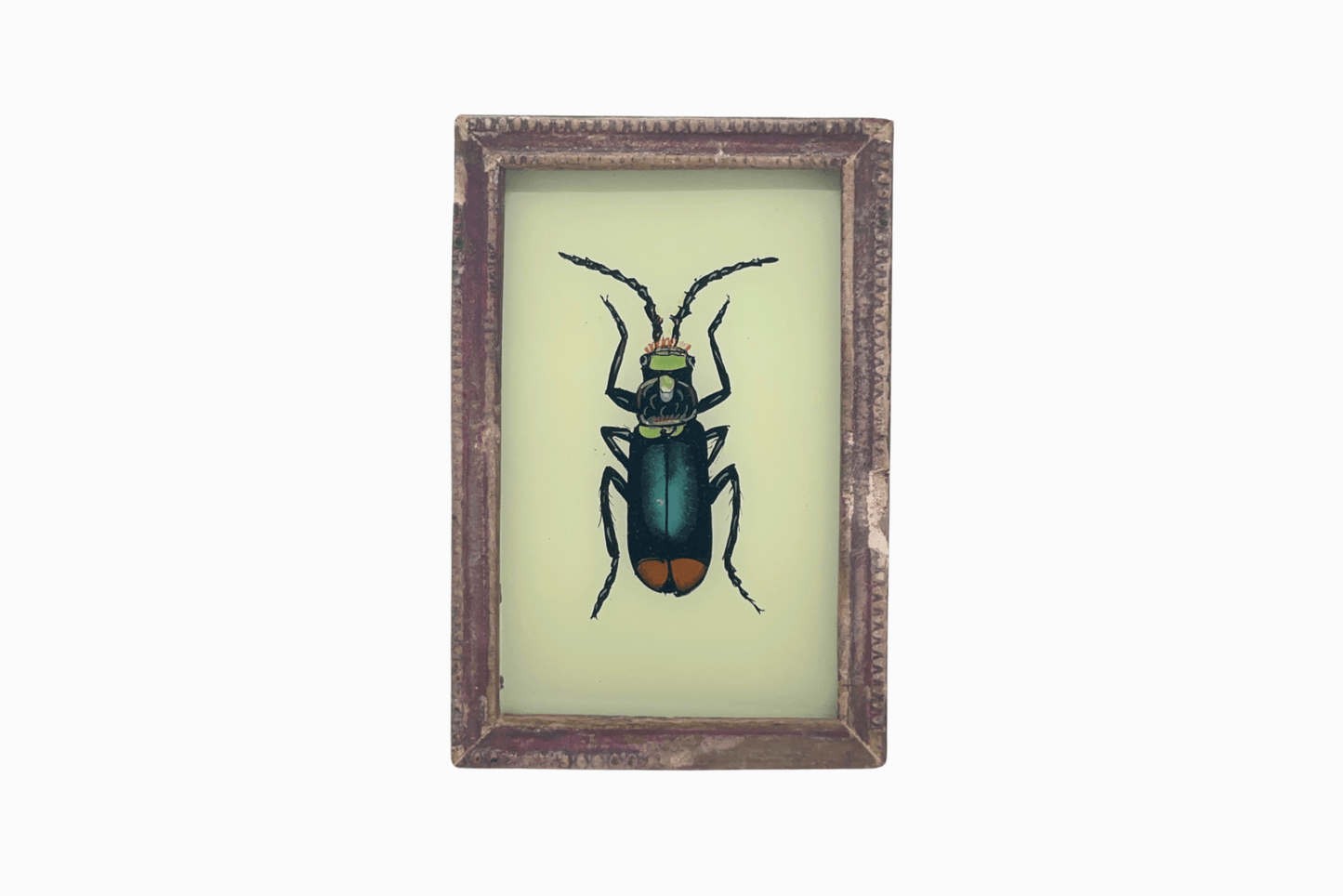 Indian glass painting of beetle (small)