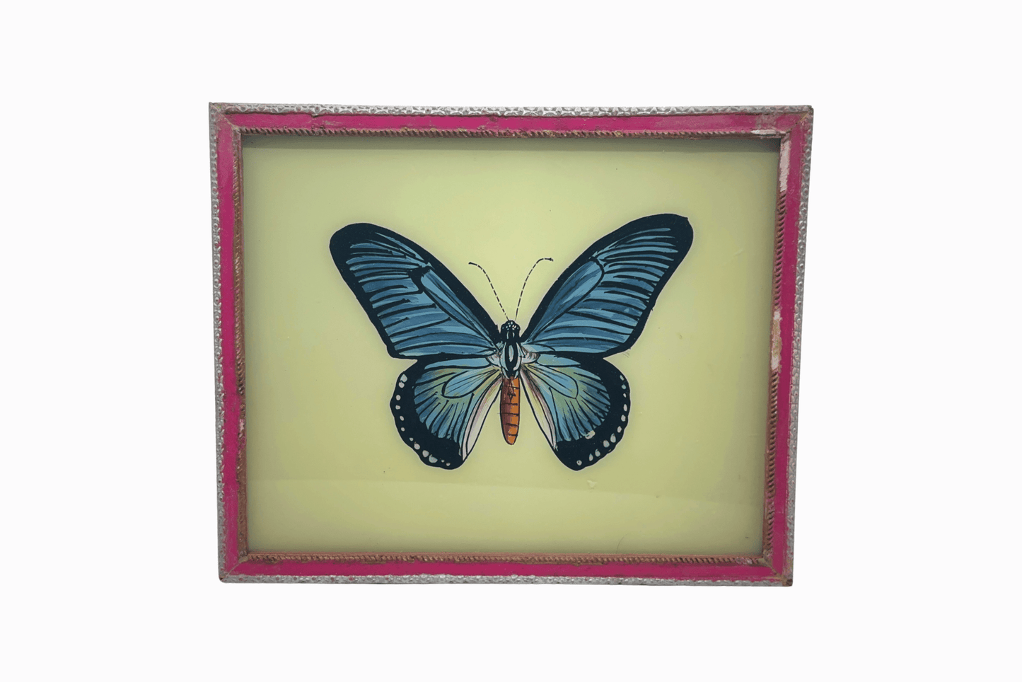 An Indian glass painting of a blue butterfly (Medium)