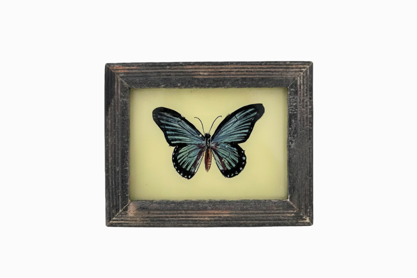 A Reverse Glass Painting of a Butterfly (Extra Small)