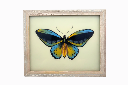 Indian Glass Painting of a Blue and Yellow Butterfly (Medium)
