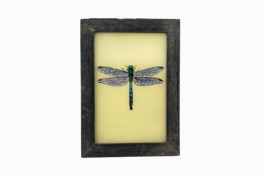 A Reverse Glass Painting of a dragonfly (Small)