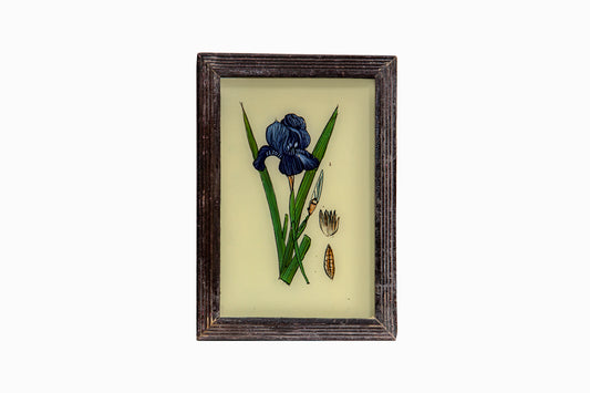 Reverse glass painting of an Iris. (Small)