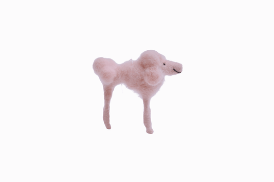 Powder Puff Poodle I