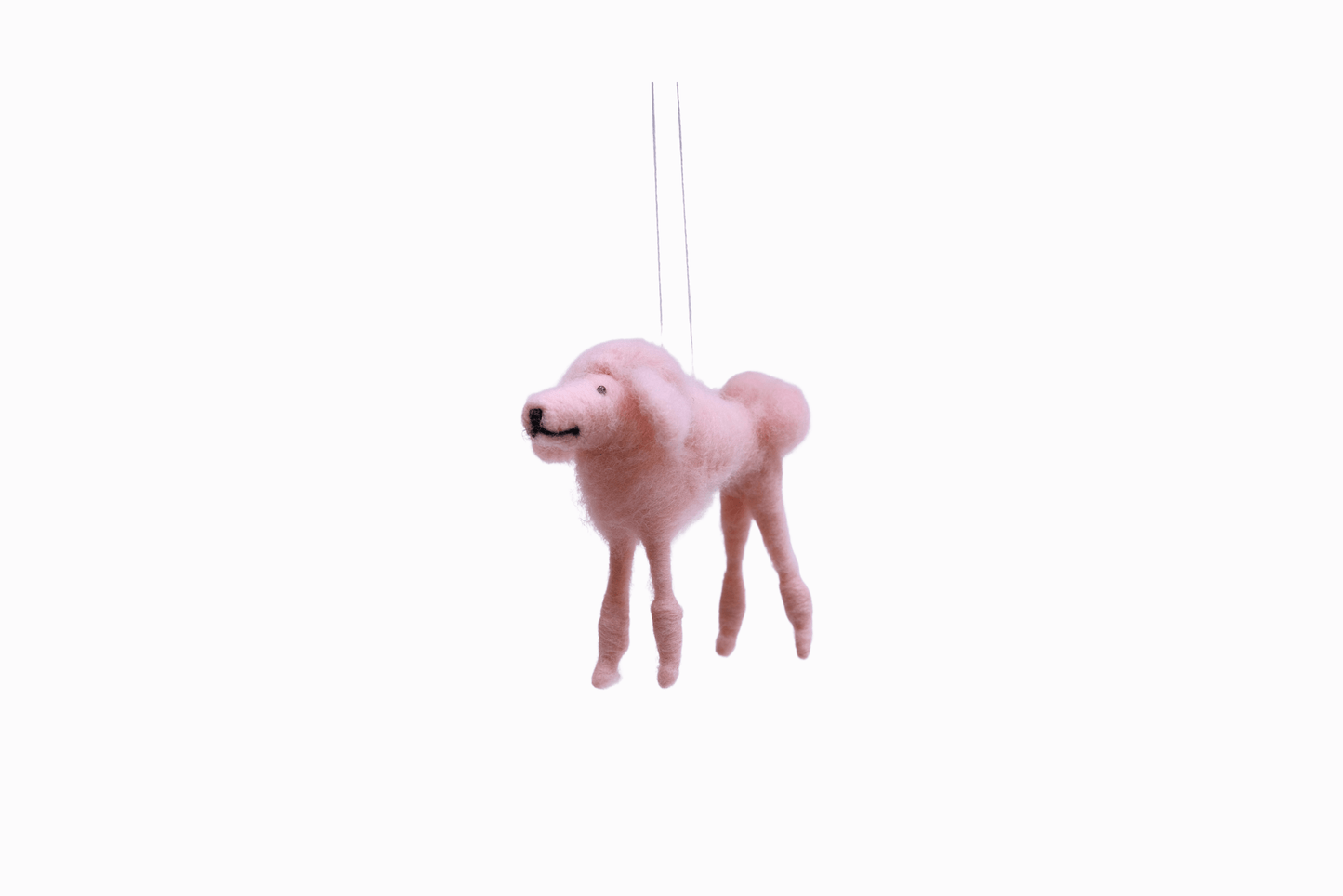 Powder Puff Poodle I