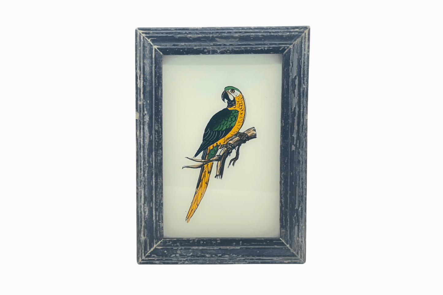 Indian glass painting of parrot (small)