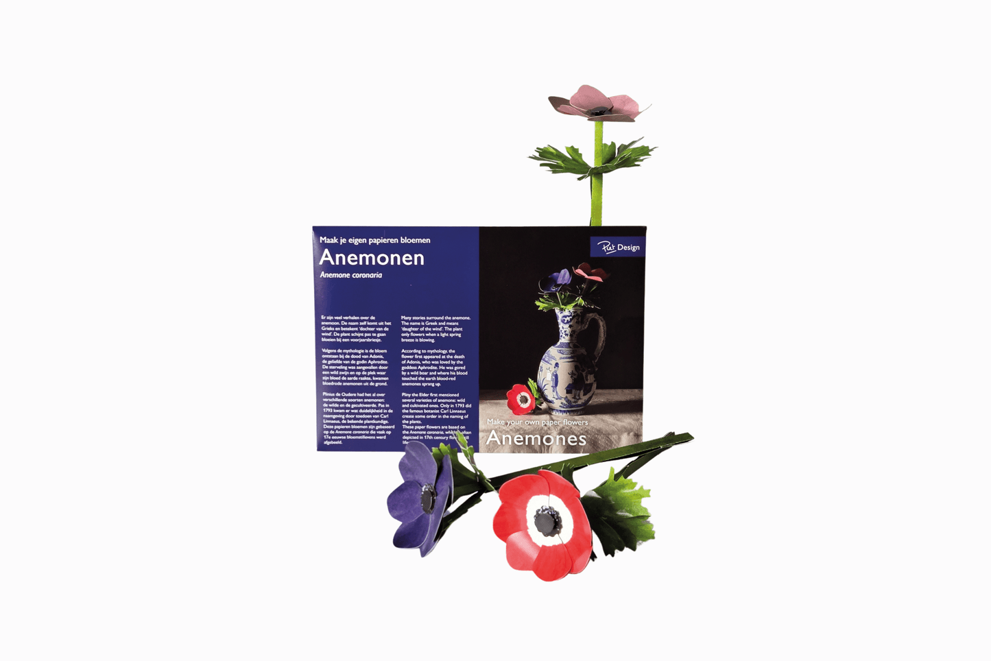 Flat pack paper anemones