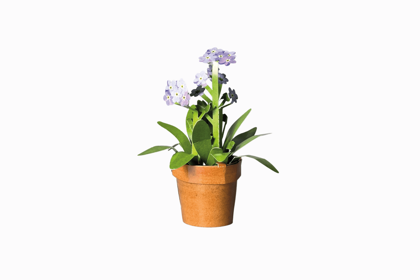 Tulipanes de papel de paquete plano 