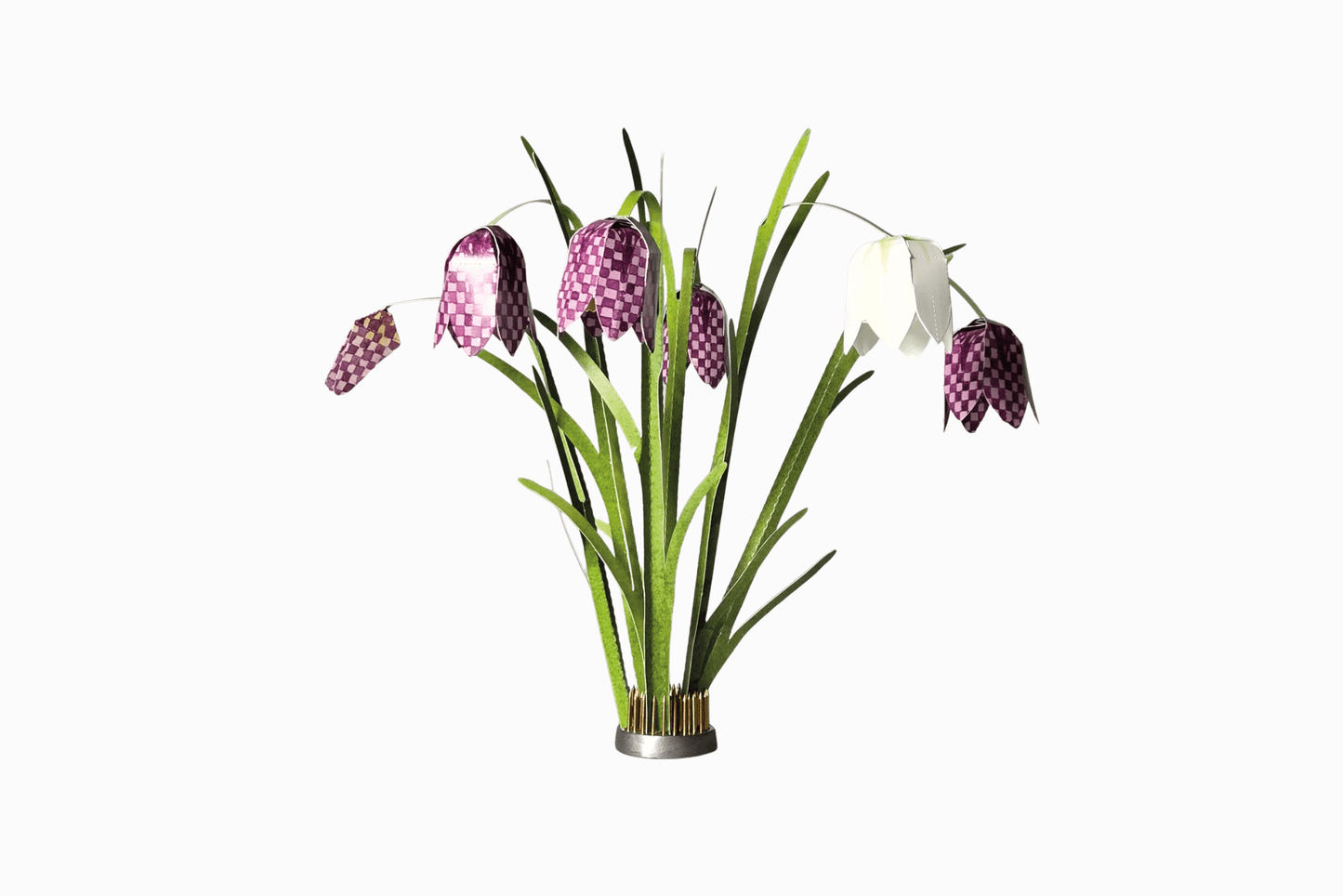 Flat pack paper Snake's Head flowers