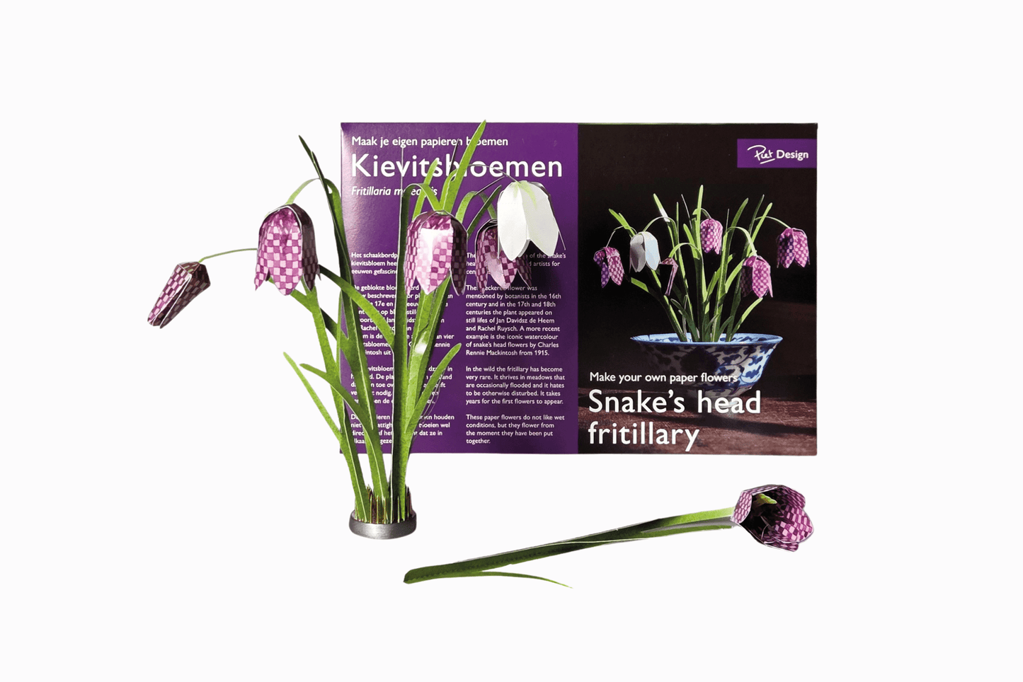 Flat pack paper Snake's Head flowers