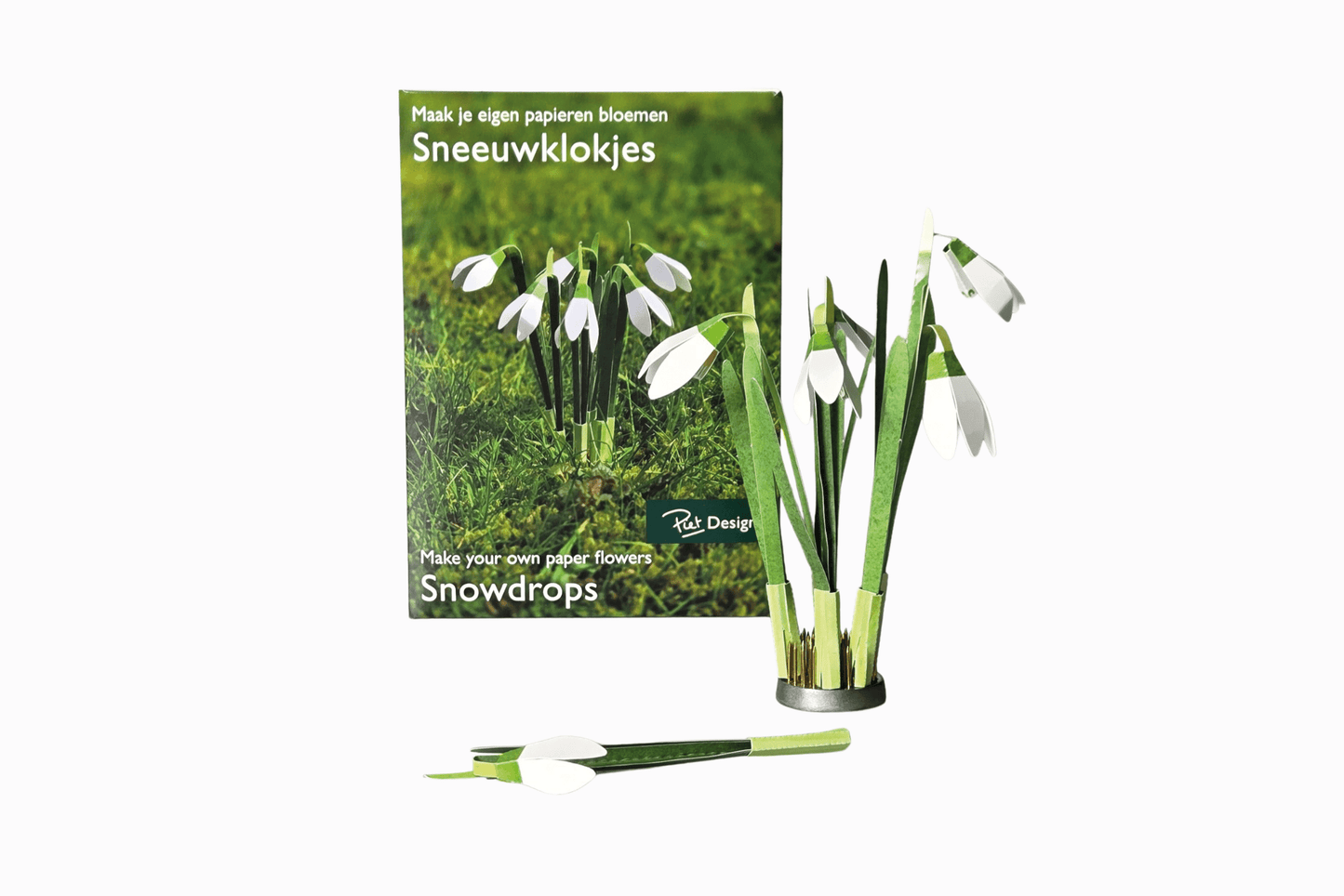 Flat pack paper Snowdrops