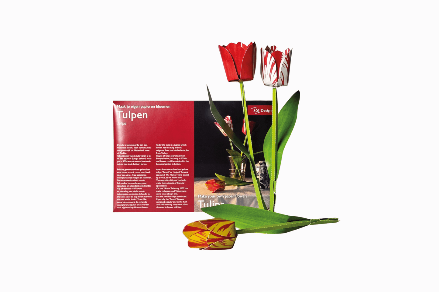 Flat pack paper tulips