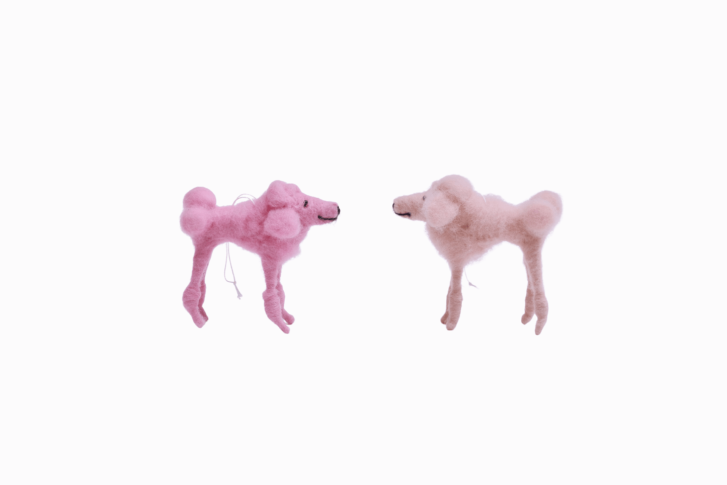Powder Puff Poodle II