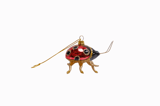 Ladybird Decoration (Red/Gold)