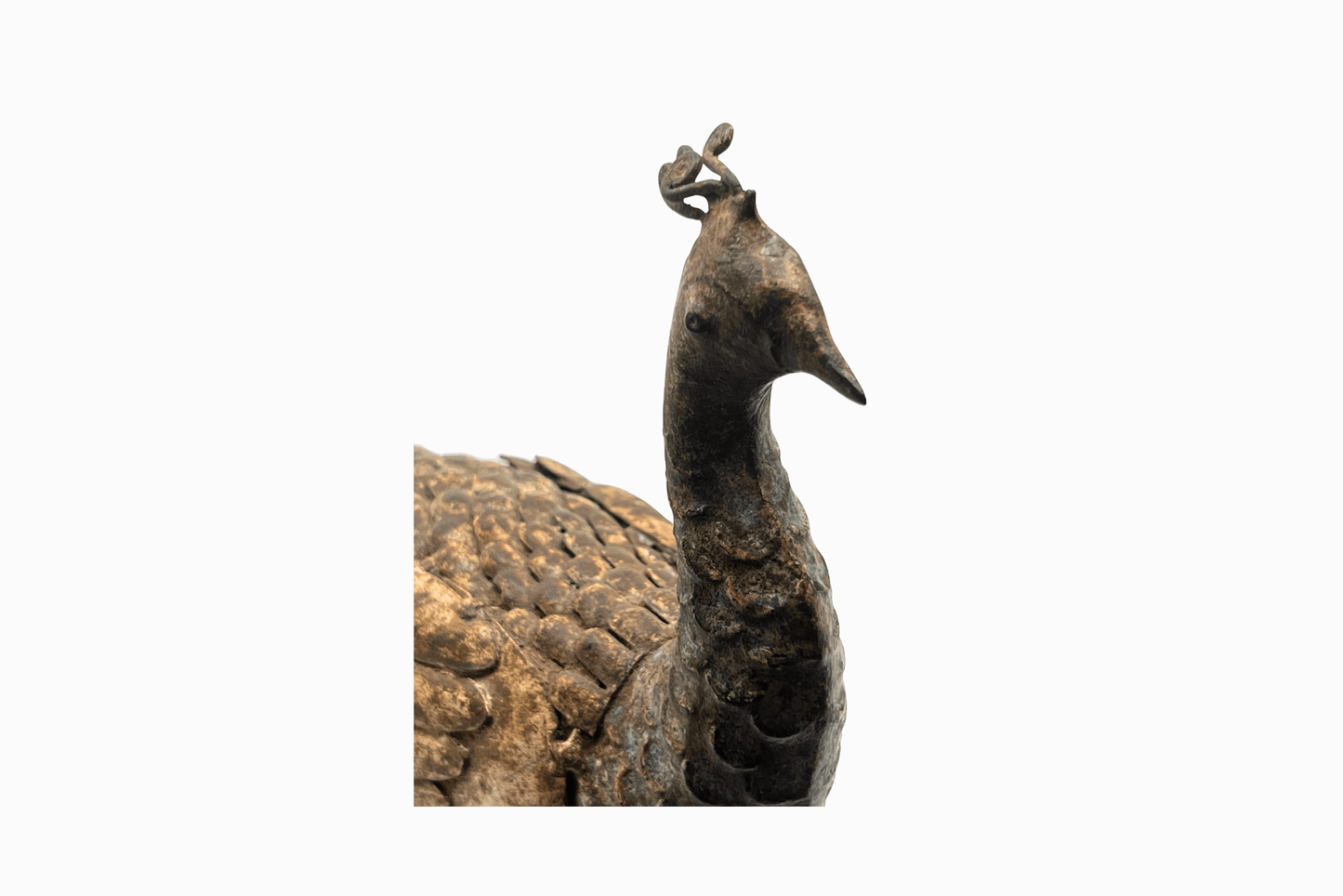Rusty metal peacock