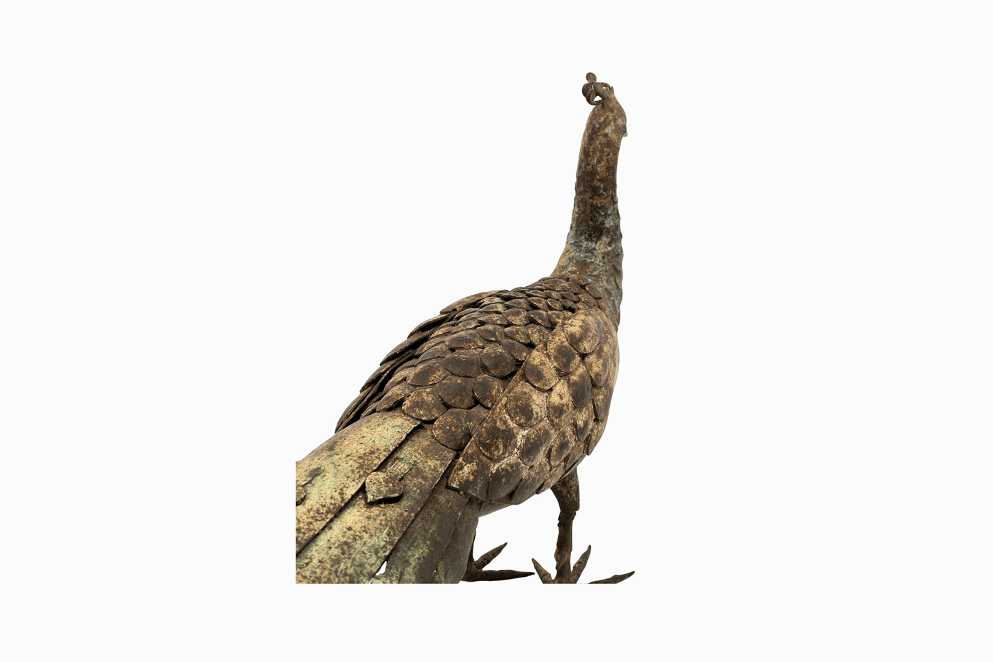 Rusty metal peacock