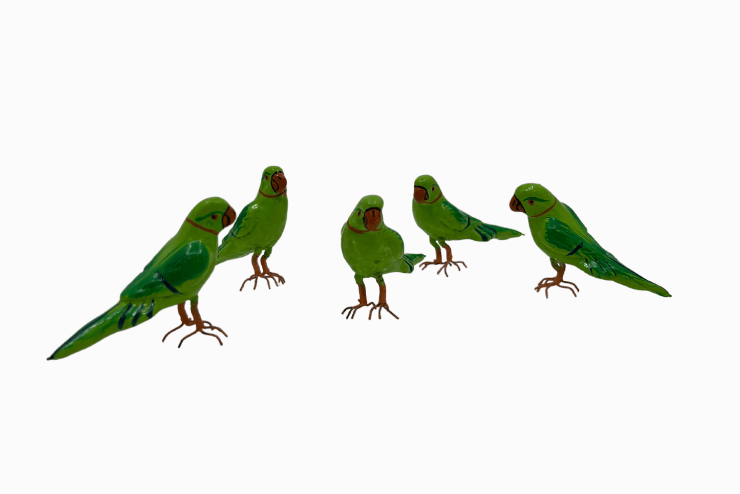 Tiny Green Parrots