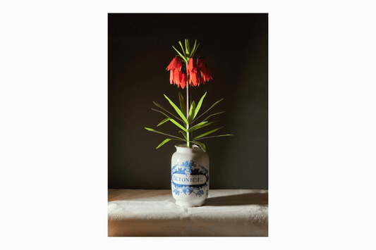 Flat pack paper Crown Imperial