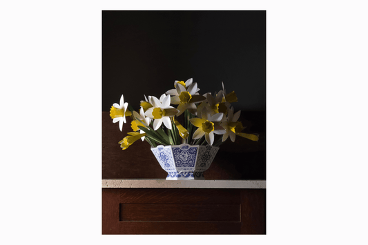 Flat pack paper wild daffodils