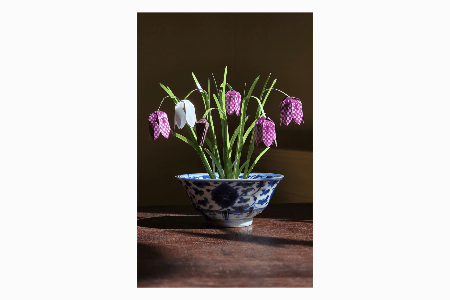 Flat pack paper Snake's Head flowers